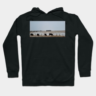 Cows in the Mist 2 Hoodie